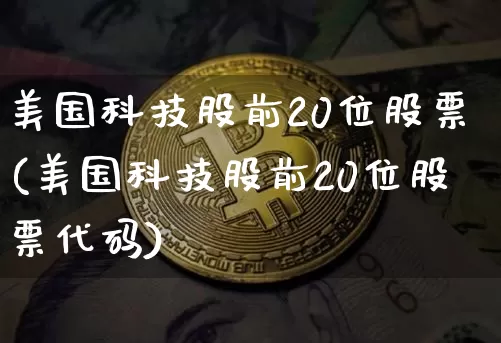 美国科技股前20位股票(美国科技股前20位股票代码)_https://www.cangshenghg.com_创业板_第1张