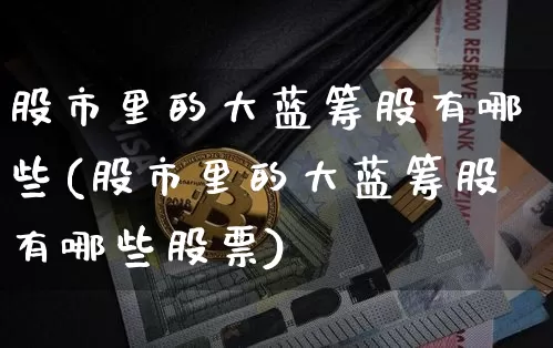 股市里的大蓝筹股有哪些(股市里的大蓝筹股有哪些股票)_https://www.cangshenghg.com_A股_第1张