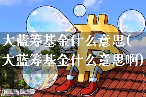 大蓝筹基金什么意思(大蓝筹基金什么意思啊)_https://www.cangshenghg.com_科创板_第1张