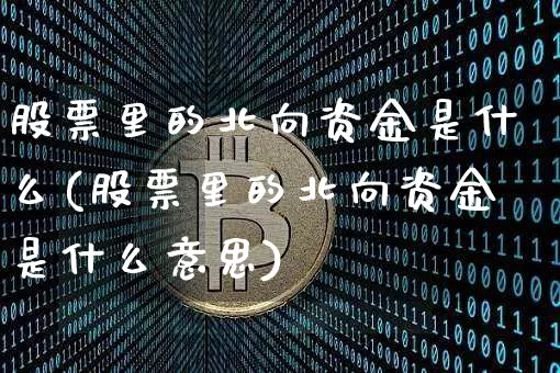 股票里的北向资金是什么(股票里的北向资金是什么意思)_https://www.cangshenghg.com_创业板_第1张