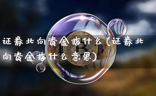 证券北向资金指什么(证券北向资金指什么意思)_https://www.cangshenghg.com_北交所_第1张