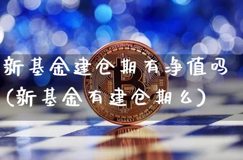 新基金建仓期有净值吗(新基金有建仓期么)_https://www.cangshenghg.com_北交所_第1张