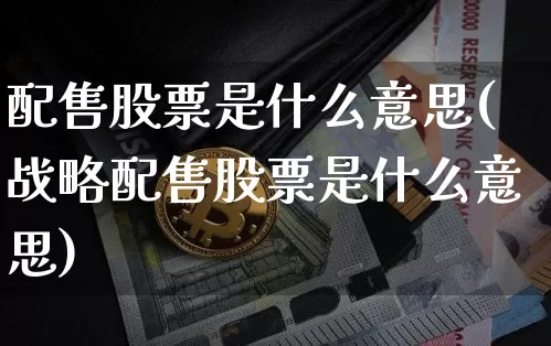 配售股票是什么意思(战略配售股票是什么意思)_https://www.cangshenghg.com_科创板_第1张