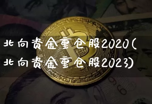 北向资金重仓股2020(北向资金重仓股2023)_https://www.cangshenghg.com_北交所_第1张