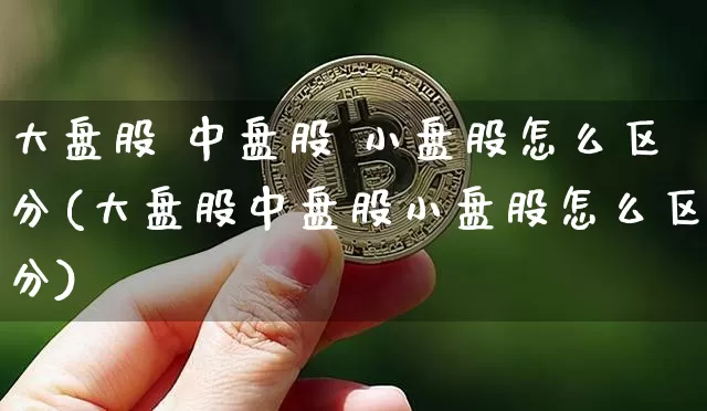 大盘股 中盘股 小盘股怎么区分(大盘股中盘股小盘股怎么区分)_https://www.cangshenghg.com_北交所_第1张