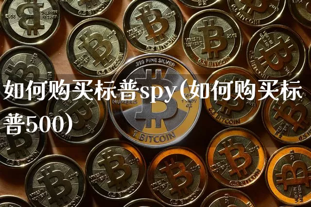 如何购买标普spy(如何购买标普500)_https://www.cangshenghg.com_北交所_第1张