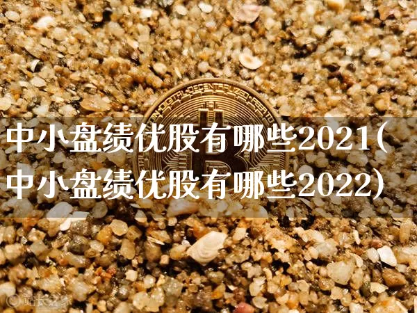 中小盘绩优股有哪些2021(中小盘绩优股有哪些2022)_https://www.cangshenghg.com_北交所_第1张