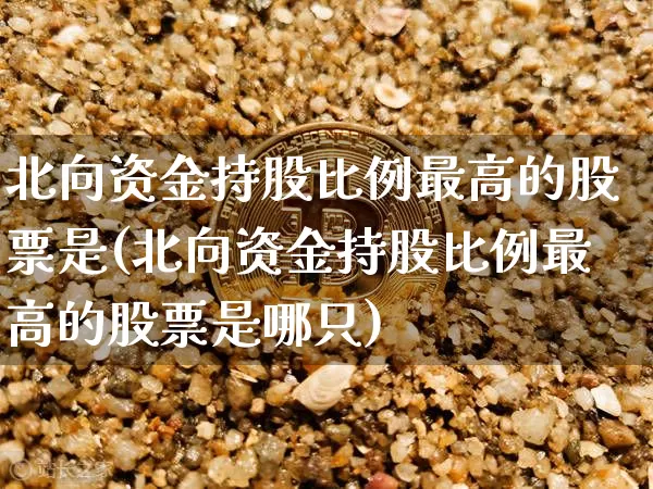 北向资金持股比例最高的股票是(北向资金持股比例最高的股票是哪只)_https://www.cangshenghg.com_北交所_第1张