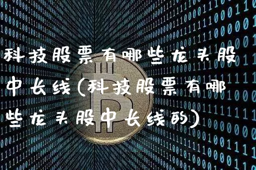 科技股票有哪些龙头股中长线(科技股票有哪些龙头股中长线的)_https://www.cangshenghg.com_科创板_第1张