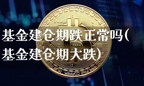 基金建仓期跌正常吗(基金建仓期大跌)_https://www.cangshenghg.com_北交所_第1张
