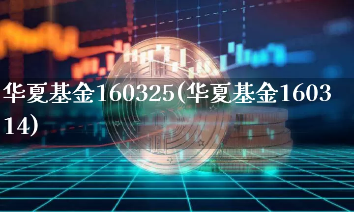 华夏基金160325(华夏基金160314)_https://www.cangshenghg.com_创业板_第1张