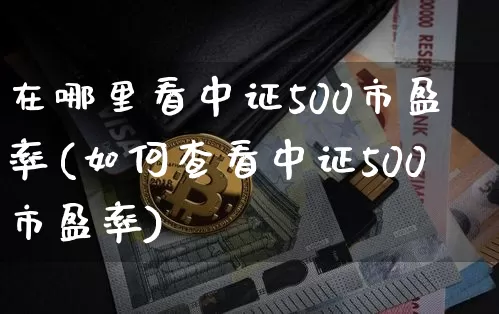 在哪里看中证500市盈率(如何查看中证500市盈率)_https://www.cangshenghg.com_创业板_第1张