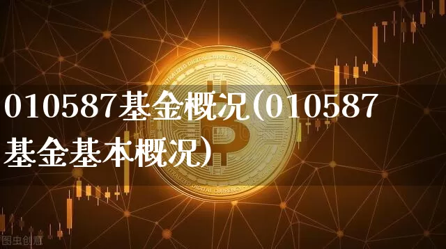 010587基金概况(010587基金基本概况)_https://www.cangshenghg.com_科创板_第1张