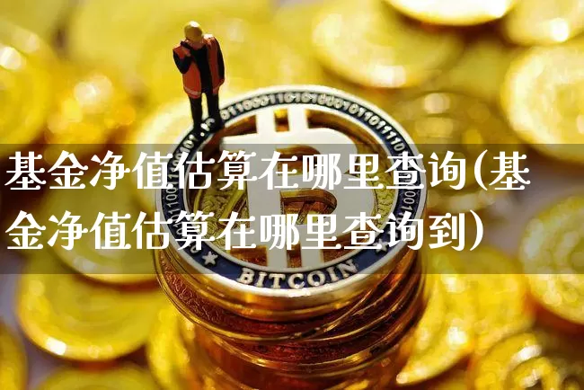 基金净值估算在哪里查询(基金净值估算在哪里查询到)_https://www.cangshenghg.com_科创板_第1张