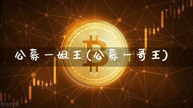 公募一姐王(公募一哥王)_https://www.cangshenghg.com_北交所_第1张