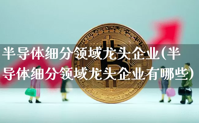半导体细分领域龙头企业(半导体细分领域龙头企业有哪些)_https://www.cangshenghg.com_北交所_第1张