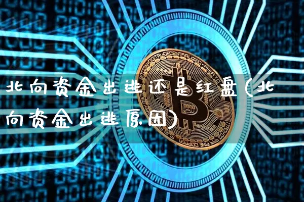 北向资金出逃还是红盘(北向资金出逃原因)_https://www.cangshenghg.com_创业板_第1张