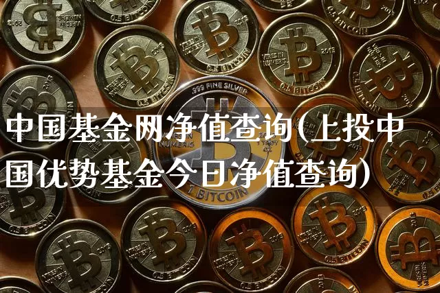 中国基金网净值查询(上投中国优势基金今日净值查询)_https://www.cangshenghg.com_创业板_第1张