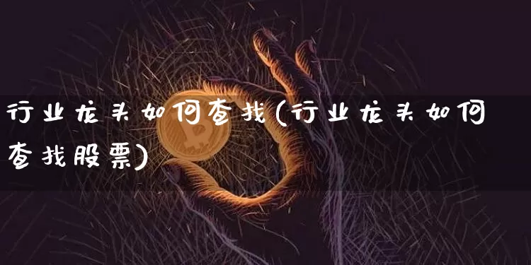 行业龙头如何查找(行业龙头如何查找股票)_https://www.cangshenghg.com_北交所_第1张