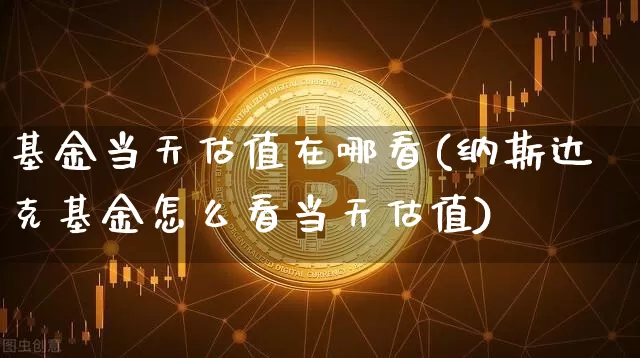 基金当天估值在哪看(纳斯达克基金怎么看当天估值)_https://www.cangshenghg.com_北交所_第1张