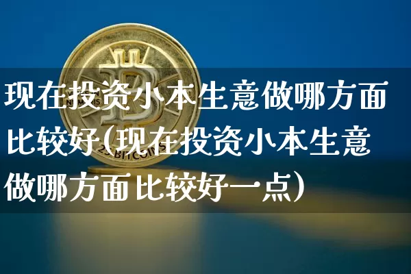 现在投资小本生意做哪方面比较好(现在投资小本生意做哪方面比较好一点)_https://www.cangshenghg.com_财经新闻_第1张