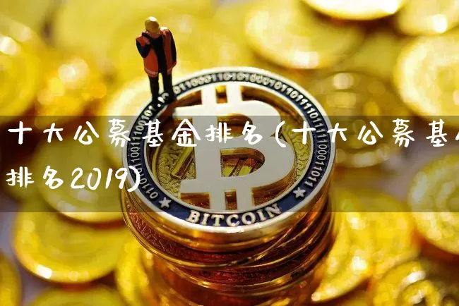 十大公募基金排名(十大公募基金排名2019)_https://www.cangshenghg.com_科创板_第1张