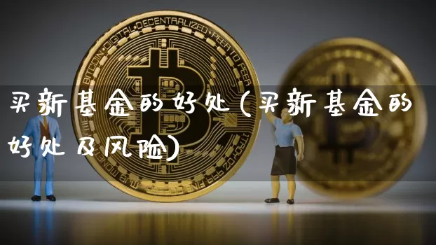 买新基金的好处(买新基金的好处及风险)_https://www.cangshenghg.com_北交所_第1张