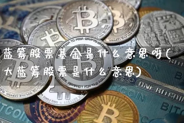 蓝筹股票基金是什么意思呀(大蓝筹股票是什么意思)_https://www.cangshenghg.com_创业板_第1张