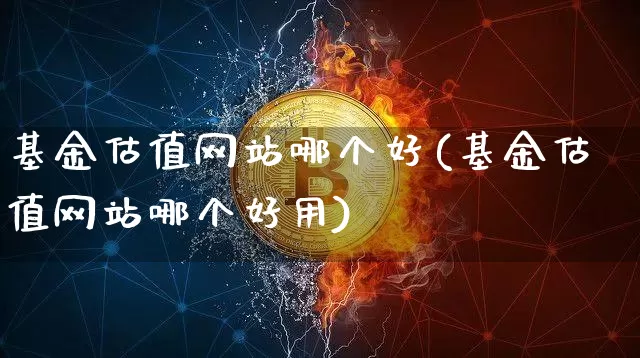 基金估值网站哪个好(基金估值网站哪个好用)_https://www.cangshenghg.com_北交所_第1张