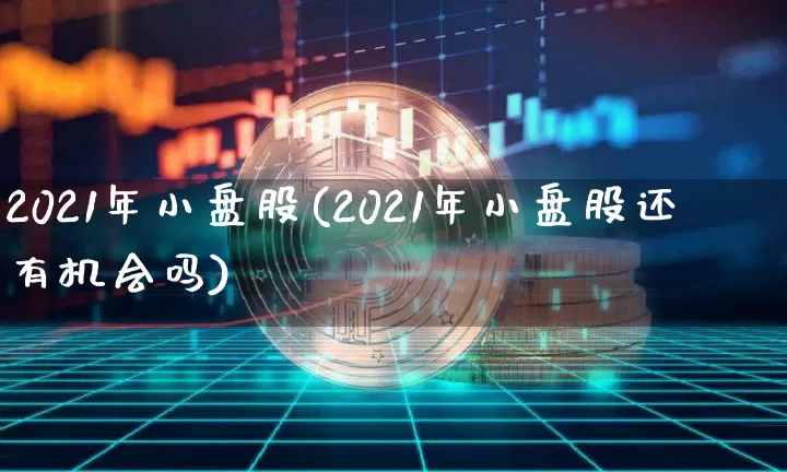 2021年小盘股(2021年小盘股还有机会吗)_https://www.cangshenghg.com_A股_第1张