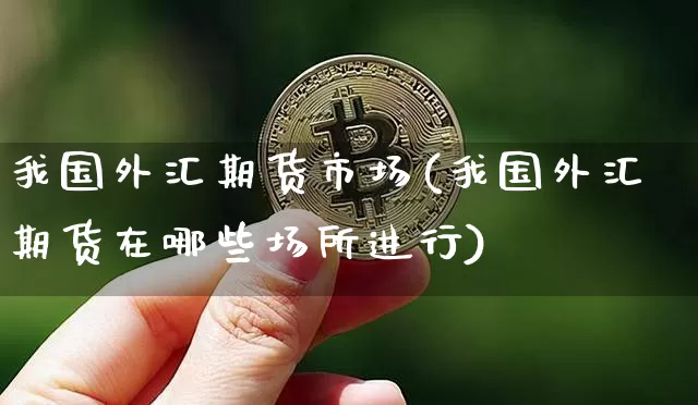 我国外汇期货市场(我国外汇期货在哪些场所进行)_https://www.cangshenghg.com_科创板_第1张