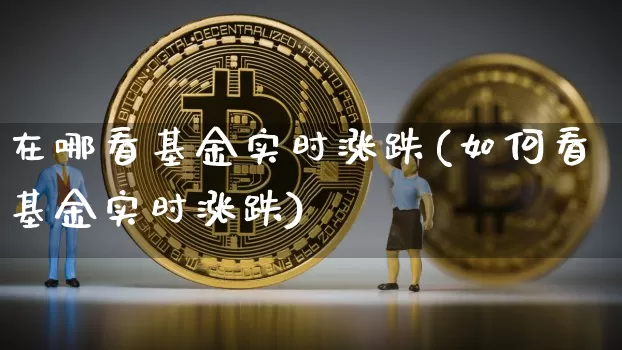 在哪看基金实时涨跌(如何看基金实时涨跌)_https://www.cangshenghg.com_科创板_第1张