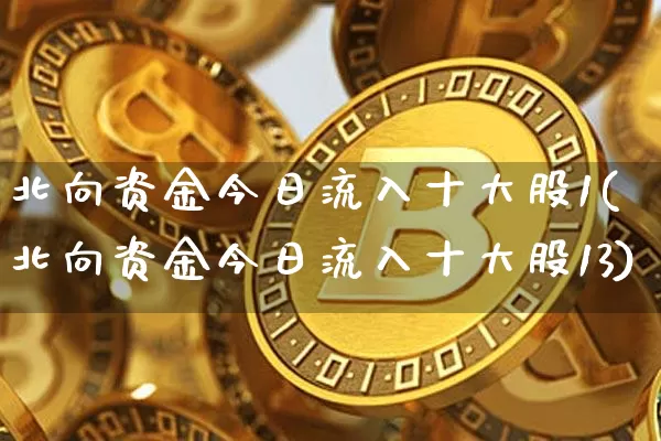 北向资金今日流入十大股1(北向资金今日流入十大股13)_https://www.cangshenghg.com_科创板_第1张