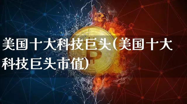 美国十大科技巨头(美国十大科技巨头市值)_https://www.cangshenghg.com_科创板_第1张