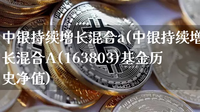 中银持续增长混合a(中银持续增长混合A(163803)基金历史净值)_https://www.cangshenghg.com_财经新闻_第1张