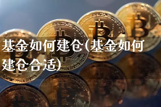 基金如何建仓(基金如何建仓合适)_https://www.cangshenghg.com_北交所_第1张