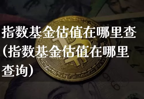指数基金估值在哪里查(指数基金估值在哪里查询)_https://www.cangshenghg.com_北交所_第1张