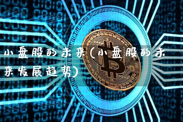 小盘股的未来(小盘股的未来发展趋势)_https://www.cangshenghg.com_科创板_第1张