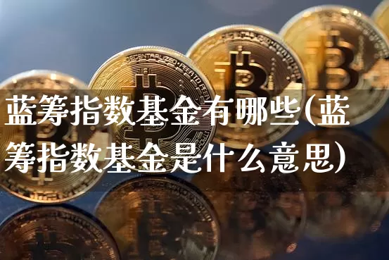 蓝筹指数基金有哪些(蓝筹指数基金是什么意思)_https://www.cangshenghg.com_科创板_第1张