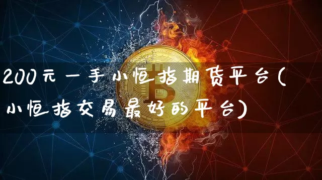 200元一手小恒指期货平台(小恒指交易最好的平台)_https://www.cangshenghg.com_北交所_第1张