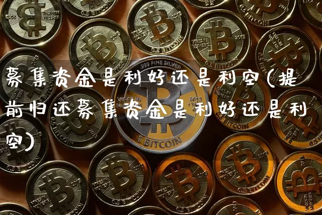 募集资金是利好还是利空(提前归还募集资金是利好还是利空)_https://www.cangshenghg.com_A股_第1张