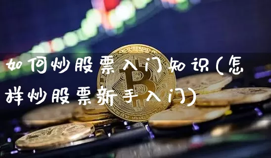 如何炒股票入门知识(怎样炒股票新手入门)_https://www.cangshenghg.com_A股_第1张