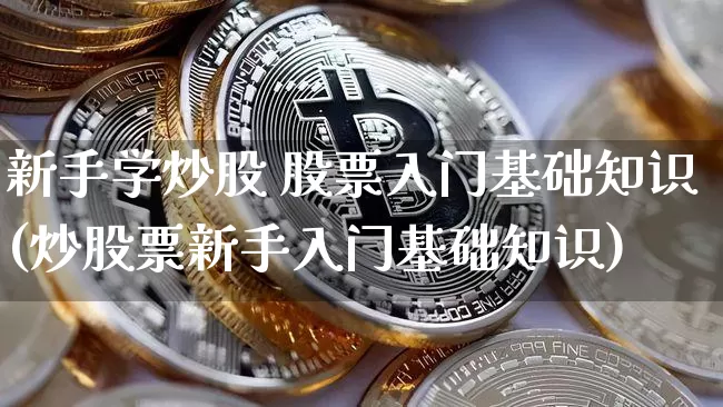 新手学炒股 股票入门基础知识(炒股票新手入门基础知识)_https://www.cangshenghg.com_北交所_第1张
