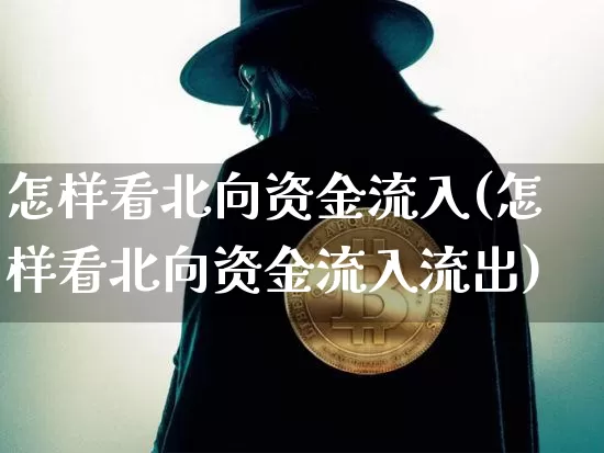 怎样看北向资金流入(怎样看北向资金流入流出)_https://www.cangshenghg.com_北交所_第1张