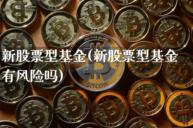新股票型基金(新股票型基金有风险吗)_https://www.cangshenghg.com_科创板_第1张