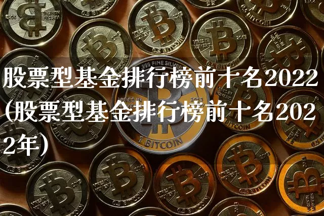 股票型基金排行榜前十名2022(股票型基金排行榜前十名2022年)_https://www.cangshenghg.com_科创板_第1张