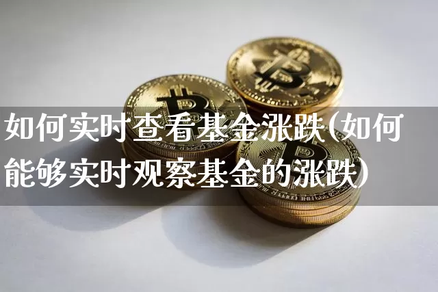 如何实时查看基金涨跌(如何能够实时观察基金的涨跌)_https://www.cangshenghg.com_北交所_第1张