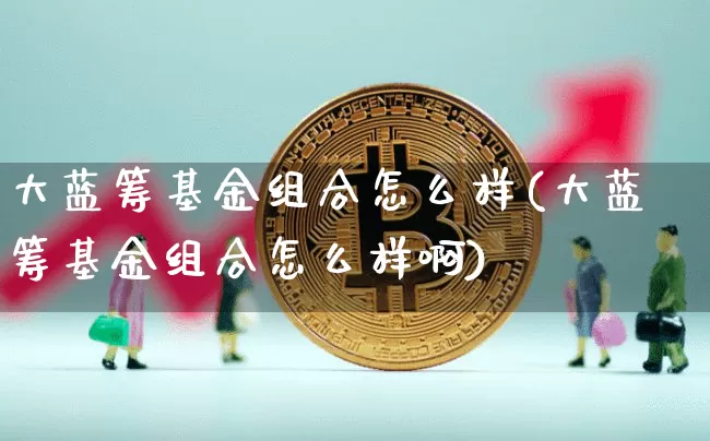 大蓝筹基金组合怎么样(大蓝筹基金组合怎么样啊)_https://www.cangshenghg.com_创业板_第1张