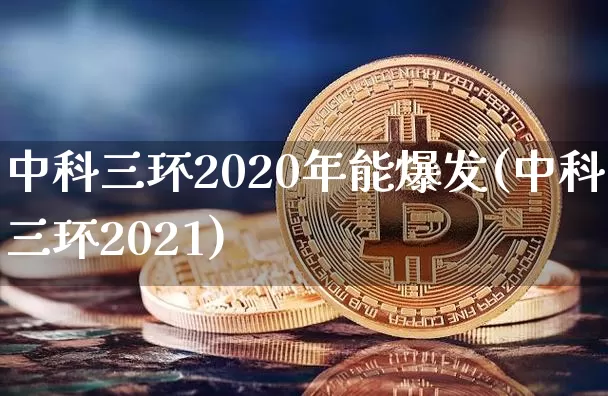 中科三环2020年能爆发(中科三环2021)_https://www.cangshenghg.com_科创板_第1张