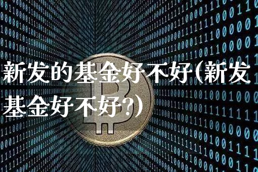 新发的基金好不好(新发基金好不好?)_https://www.cangshenghg.com_北交所_第1张